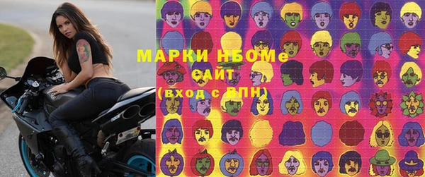 прущий лед Бородино