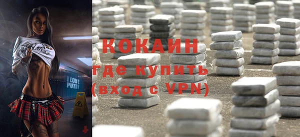 прущий лед Бородино
