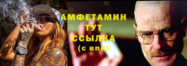 прущий лед Бородино